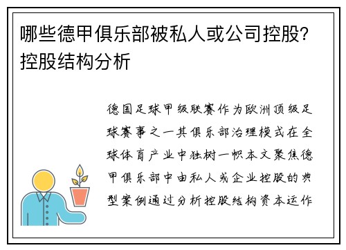 哪些德甲俱乐部被私人或公司控股？控股结构分析