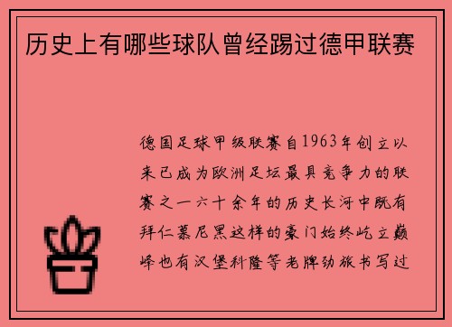 历史上有哪些球队曾经踢过德甲联赛